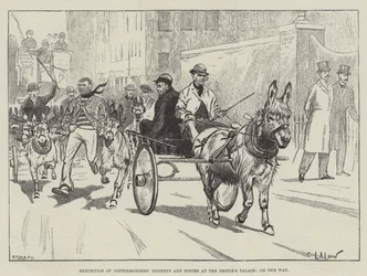 Exhibición de burros y ponis de costermongers en el People